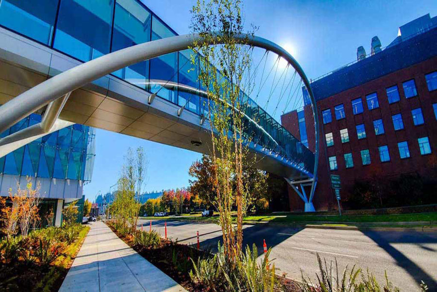 Signature Curved Steel Sky Bridge at the Phil and Penny Knight Campus for Accelerating Scientific Impact